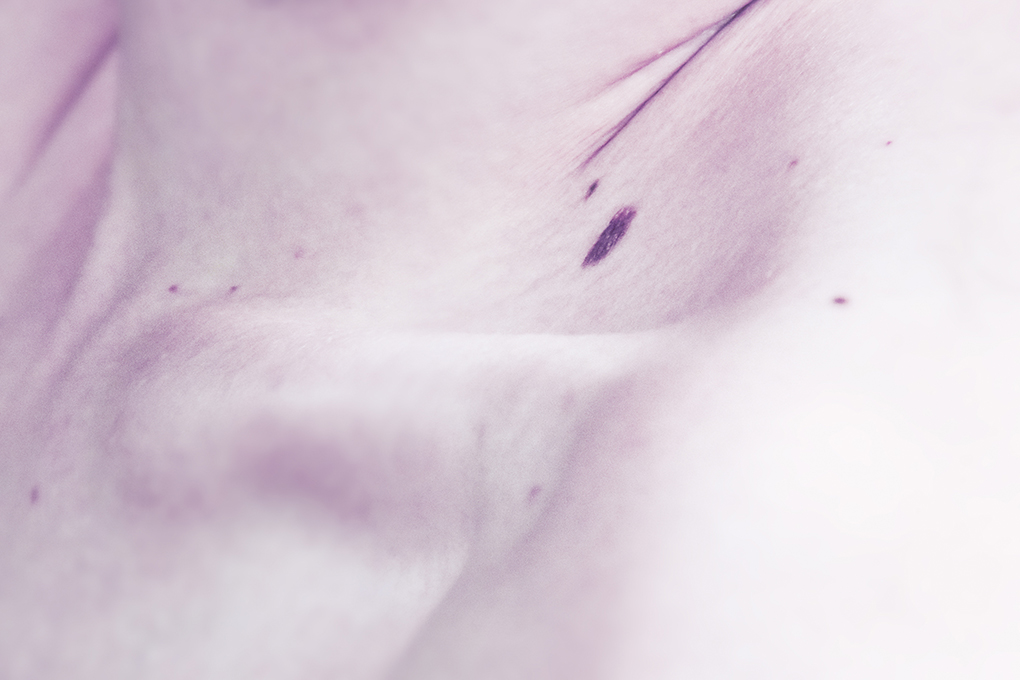 cannelle preira - 2018 -mirage photographie